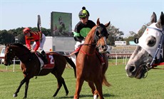 Race 3: SIR MOMENTS (T. Bell) (centre) was slow to begin. In the straight SIR MOMENTS hung in badly and proved difficult to ride. *SIR MOMENTS won the race, coming from last to first, by 0.50 lengths