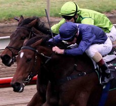 Ipswich Cup Day feature race winners:
Jazz Song (The Waterhouse Classic)