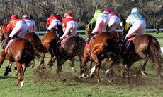 Heavy kick-back from the slow 6 track at Kilcoy last Friday