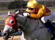Grylls and Bingo Rose

Racing photos: Graham Potter
