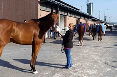 Buff waiting in line to be vetted ... 