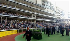 A unique saddling paddock