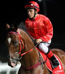 Tarrant with his 'game face' on in the Phillips stable silks

All photos: Graham Potter