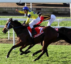 Damien Oliver goes up in the irons to salute River Lad's spectacular victory