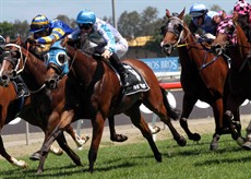 Florida Fellow (second Right) chases Straturbo home to finish a credible sixth in the MM Open Sprint