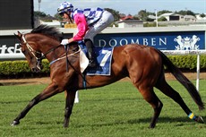 Grantly Miss
In the money, finishing third at Doomben on January 21 (see below)