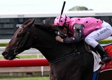 I’ve got my own way of trying to encourage the horse. I’m more of a point of balance type rider. I try and stay still in the saddle.

Buffering photo: Ross Stevenson
All other photos: Graham Potter
