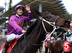 Also the Filly Of The Year from New Zealand, Platinum Witness, who is trained by Lisa Latta (pictured below), is looking to come over for the Queensland Oaks. I‘ve had feature race success with Lisa before. That includes our 2013 Caloundra Cup win with Zennista (above)
