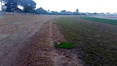 The greener section will be the A training grass with the course proper planted later on the left