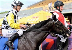 Happy to bring home another winner at Doomben. This time it was the Robert Heathcote trained Gid Up Strop carrying the famous racing silks of Dato Tan Chin Nam's's Think Big Stud