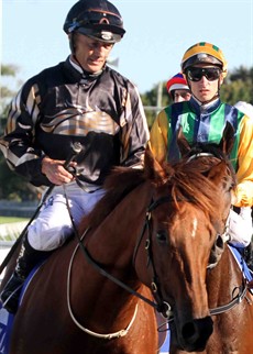 Srikandi returns to scale