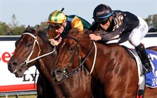 The battle for supremacy between Srikandi and Ball And Muscle 