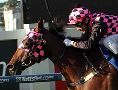 Hopfgarten:

I was delighted with his effort to run a brave third in the Toowoomba Cup last week. That effort helped me decide to have a go at the Doomben Cup this Saturday