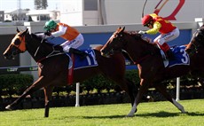 Epic made a move to try and box him in and whilst Epic was strong through the line and was gaining ground quickly, my fella had enough in the tank to hold on