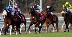 Alan Thomas called it a ‘boilover’ when Riva De Lago (pictured above and below) won last week’s Listed Glasshouse sprint at the Sunshine Coast.

At $47 bucks the win for my fella and knocking off the heavily backed favourite in Time For War, Thomo was pretty much on the mark