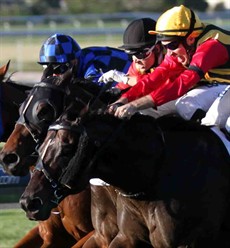 Spirit Of Boom and Temple Of Boom fight out the finish in the 2014 Doomben 10 000

It was at home. It was a sense of achievement. It was my two favourite horses. To get the quinella in one of our biggest sprints was just an amazing, amazing feeling

Photo: Darren Winningham