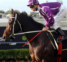 Doomben 10 000 winner Boban heads the weights for the 2015 Stradbroke