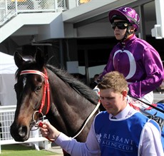 Tarrant heads out on Jumbo Prince prior to the Grand Prix ... a race which would lead to Tarrant facing a reckless riding charge
