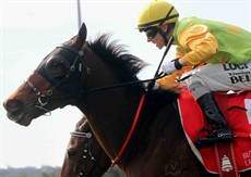 Trakstar wins for Tony Gollan at Caloundra on Saturday. Can Tony Gollan train four city winners in the next eight metrop meets?That's the burning question as he now treads dangerously close to Bruce McLachlan's record 

Photos: Graham Potter