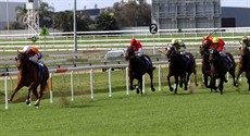 Satirical Lass (pictured above and below) wins by five lengths and gets within a second of Takeover Target’s near decade old track record.

How did she do that?