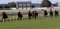 ... running an astonishing 1:17.75 for the 1350 metres

Photos: Graham Potter