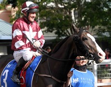 Jopa and Jeff Lloyd

,b>Photos: Graham Potter

You can’t blame Jeff Lloyd for his explanation that Jopa felt the firm track. He simply called it as he saw it, or felt it, in this circumstance