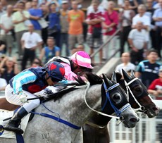 Beauty Only, with Neil Callan on board, edges Divine Calling to win the Kwangtung Handicap Cup (Class 1, 1400m)

Photos:
Courtesy Hong Kong Jockey Club