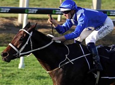 Winx - pictured when winning the Oaks during the Queensland Winter Carnival

Photos (above and below)
Darren Winningham