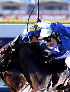 

Jockeys should remember that they really have no right to be deciding how whips can be used. They must be consulted on the issue but they must also realise the final decision is not theirs.
