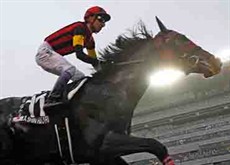 A Shin Hikari takes the LONGINES Hong Kong Cup (Group 1, 2000m) for trainer M Sakaguchi and jockey Y Take.