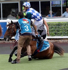 Little Bit Nifty slips in the parade ring before the first race. Strapper Ashley Roberts goes to the aid of the horse and cushions the landing of Jimmy Orman ...