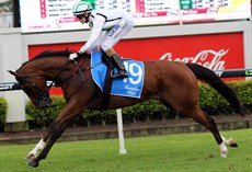 Micheal Hellyer had his hands full taking Bayview Emperor to the start before the last at Doomben on Saturday ... but he proved more than a match for the bucking gelding. Hellyer wasn't going anywhere and stayed on when the odds of him coming off looked to be quite short at one stage