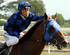 A pat of appreciation. Buff and I at the end of the Eagle Farm gallop