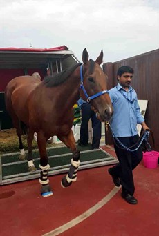 Buff arrives in Dubai