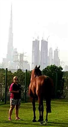 Dubai sure is an amazing skyline dominated by the tallest building in the world, The Burj Khalifa.
