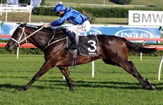 Winx photos: Grant Guy