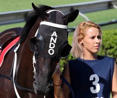 Mystic Opal:

Now a two-time winner