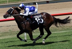 Subsolar
Winning at Ipswich ...


