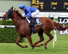 Handfast (James McDonald) will be looking to make it four wins from his last five starts when he contests the Hawkesbury Guineas (race 8)