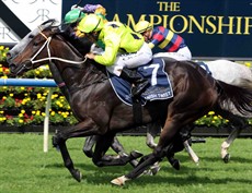 Danish Twist was impressive in his last start win in the Provincial Championships at Randwick. She is my selection for race 5