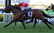 Artistry pictured winning the Newcastle Newmarket in her penultimate start. Could be too good for them in the Godolphin Crown (race 6)