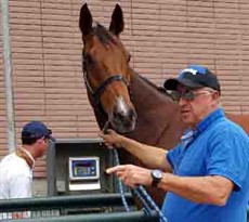 The rules in Hong Kong state that all horses must be weighed and their weights made public
