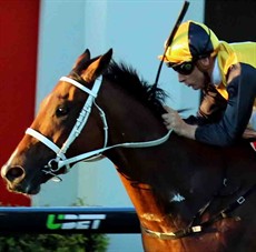 Mackintosh ... the one to beat in the Grand Prix Stakes (Race 8)