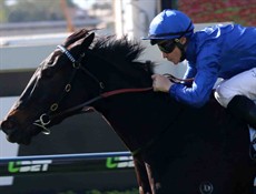 Ghisoni should run in the Stradbroke but probably won’t. More’s the pity.