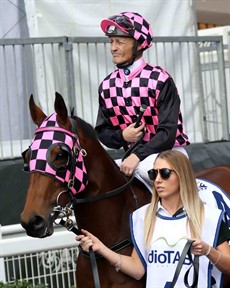 Hopfgarten on his way out onto the track before demolishing his opposition in the Listed Wayne Wilson Stakes on Stradbroke Day

Photo: Darren Winningham