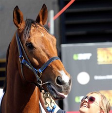 It is just so good to have Buffering back in Queensland after a successful overseas trip to Dubai and then on to Hong Kong and then down to Melbourne before making the journey back home. I think that Buffering was glad to be back 

Photo: Graham Potter