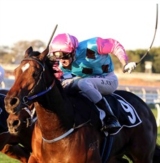 Sold For Song ... the pick to come out on top in the Sunshine Coast Guineas