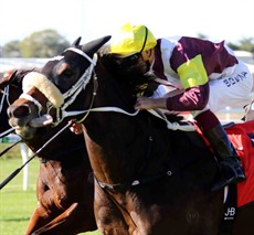 Can Index Linked (seen winning at Eagle Farm last week) make it back to back in the Caloundra Cup? 

Photos: Darren Winningham and Graham Potter