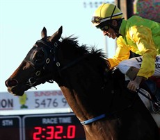 Amexed wins the Caloundra Cup

Photos: Graham Potter