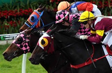 Helen Page and Sky Bogenhuber combine again in the first race with Social Vampire who turned in a great run a fortnight ago at the same track (pictured in yellow cap on the outside). I like the run and when Helen brings them to town her horses always give you a great sight for your money!